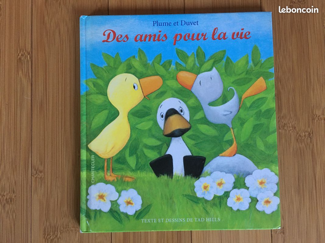 Plume et Duvet - DES amis pour la vie, dès 3 ans (image 1)