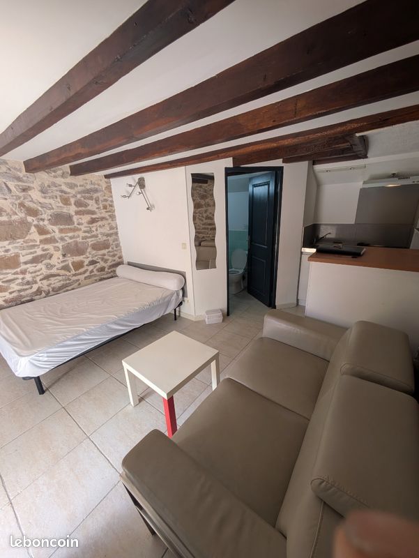 Appartement 1 pièce 20 m² · à Carmaux · 20 m² · 350 €/mois