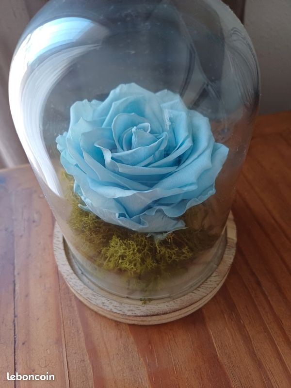 Rose éternelle (image 1)
