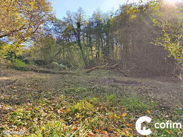 Terrain 5330 m² Saint-Julien-en-Born