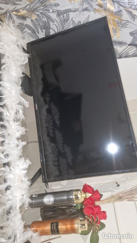 Tv 80 cm (image 1)