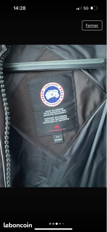 Canada goose (image 3)