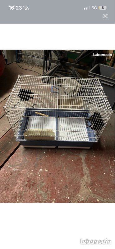 Cage oiseaux (image 1)