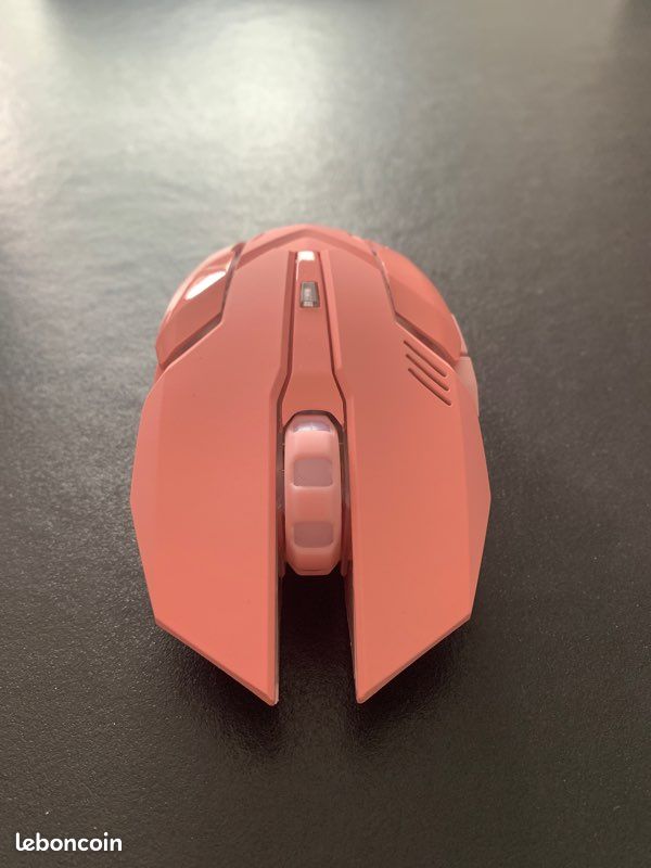 Souris pour gamer (image 6)