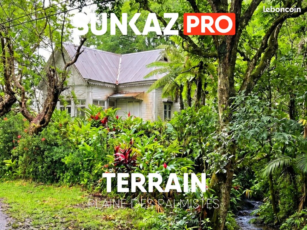 Terrain 4145 m² · à La Plaine-des-Palmistes · 4 145 m² · 479 600 €