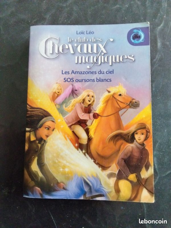 Livre double des chevaux magiques (image 1)