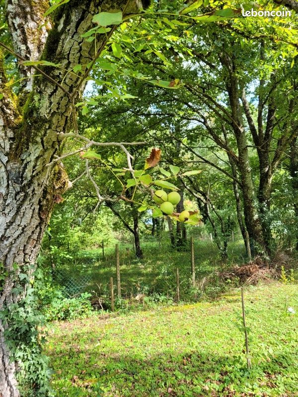 Terrain 1 pièce · à Pontailler-sur-Saône · 22 000 €