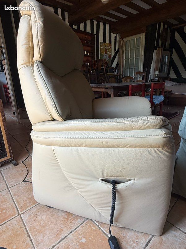 Fauteuil releveur personne âgée (image 4)