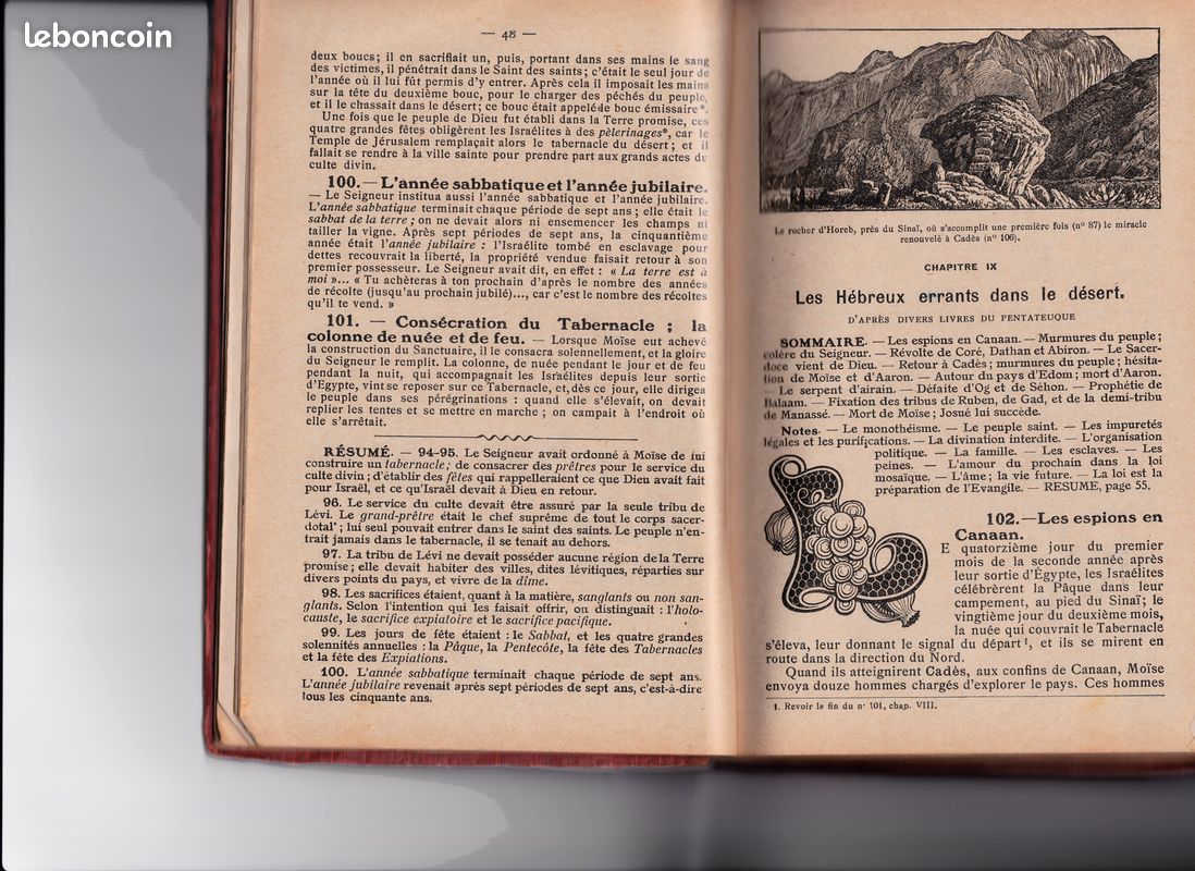 BIBLE SCOLAIRE ILLUSTREE - L . Alain (image 5)