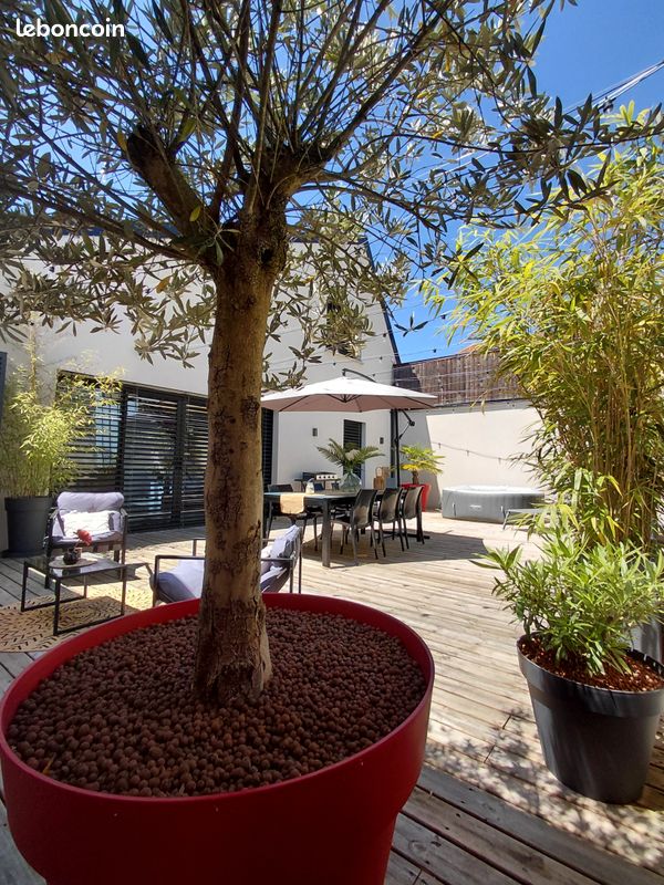 Appartement 4 pièces 145 m² · à Roanne · 145 m² · 334 900 €
