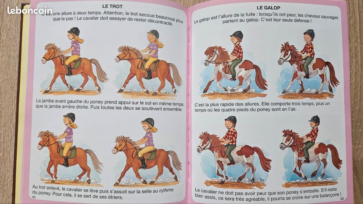 Livre "L'imagerie du poney et du cheval" (image 7)