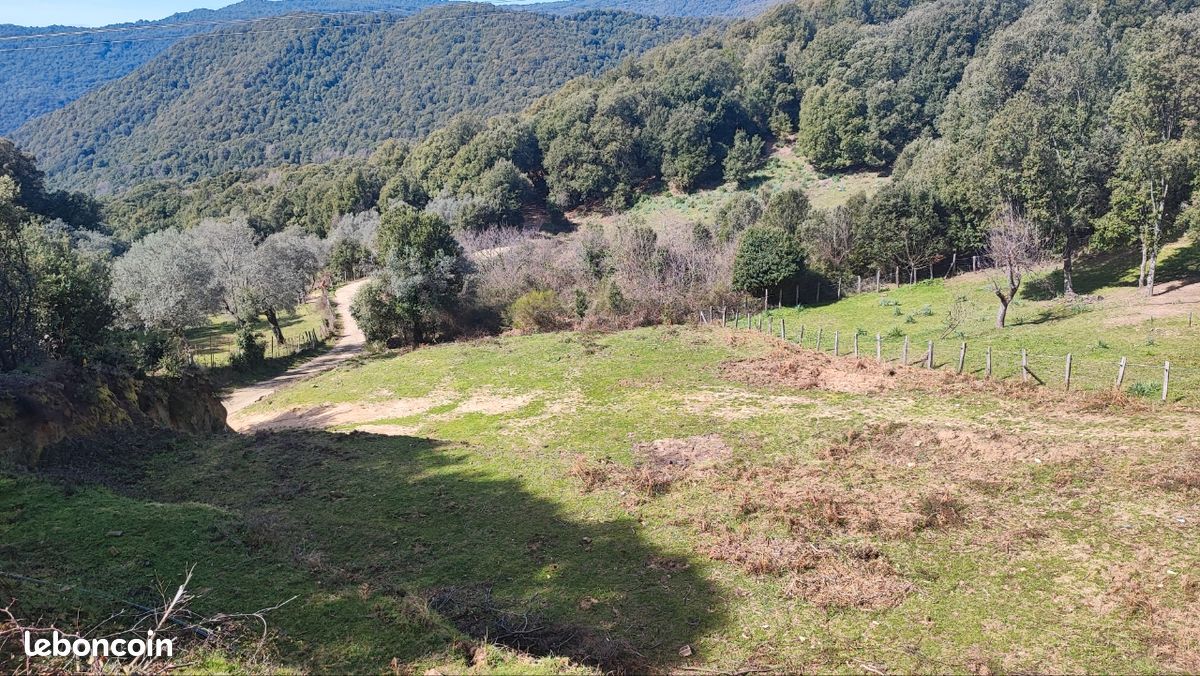Terrain 2000 m2 Olivese · 98 000 €