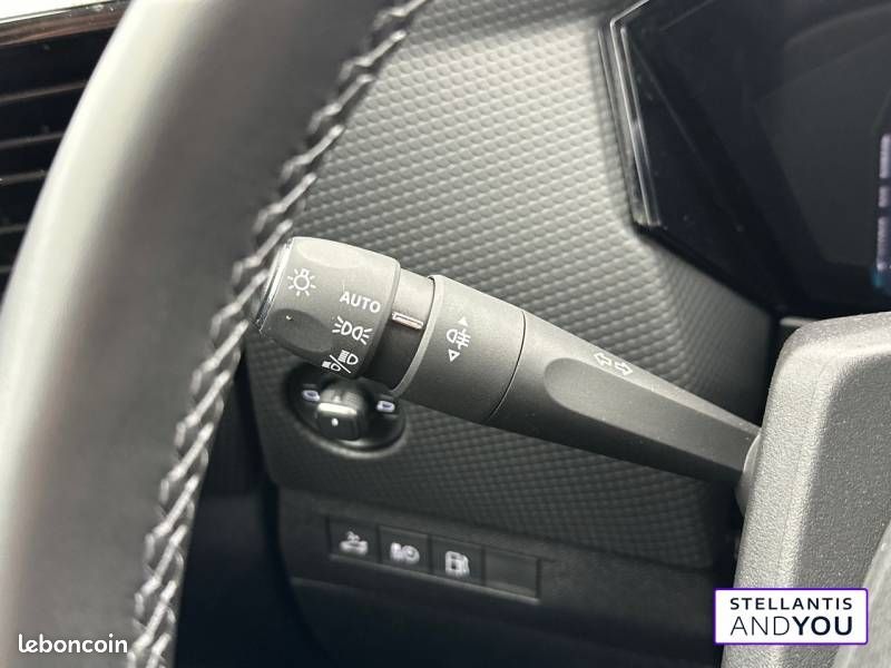 DS 4 Hybride E-Tense 225 EAT8 Rivoli (image 19)
