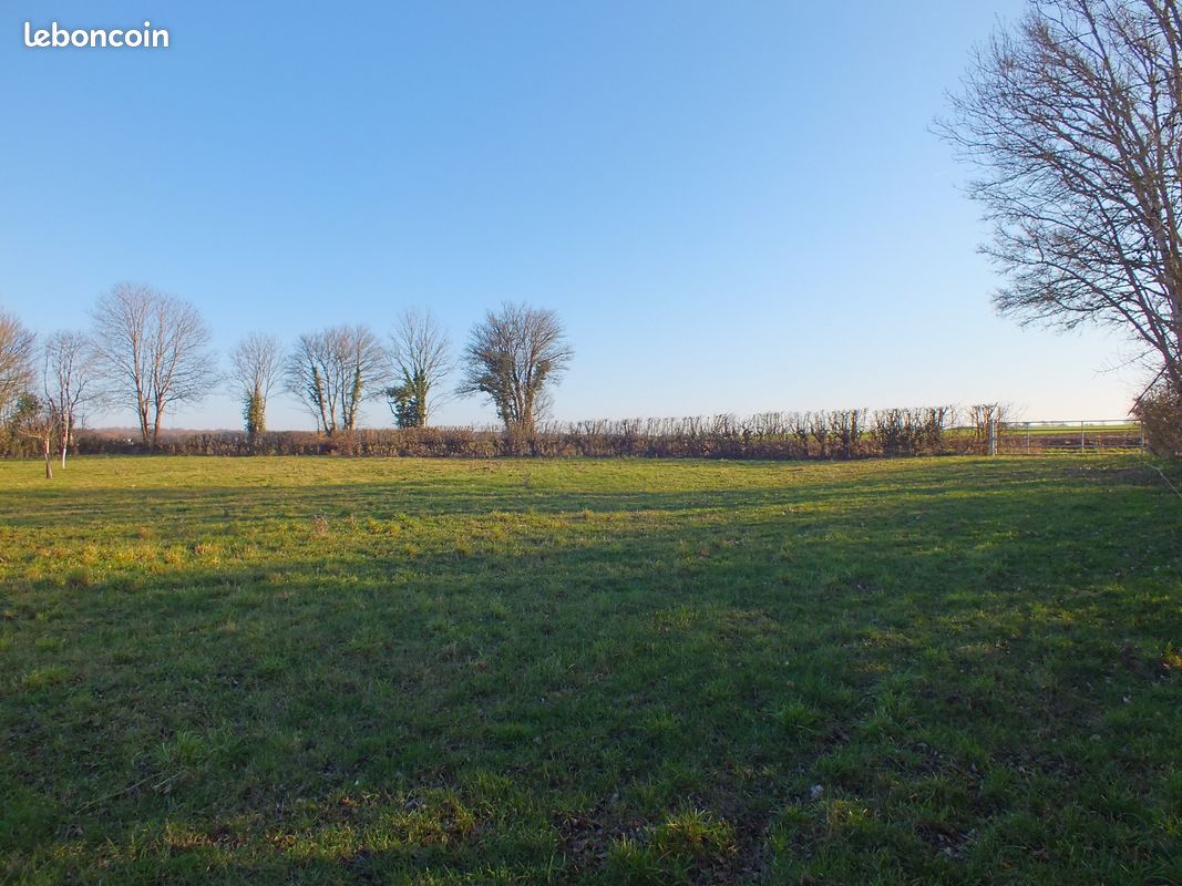 Terrain 5 990 m² Musigny · 77 500 €
