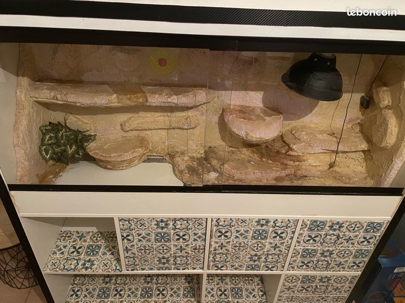 Meuble de salon terrarium intégré (image 2)