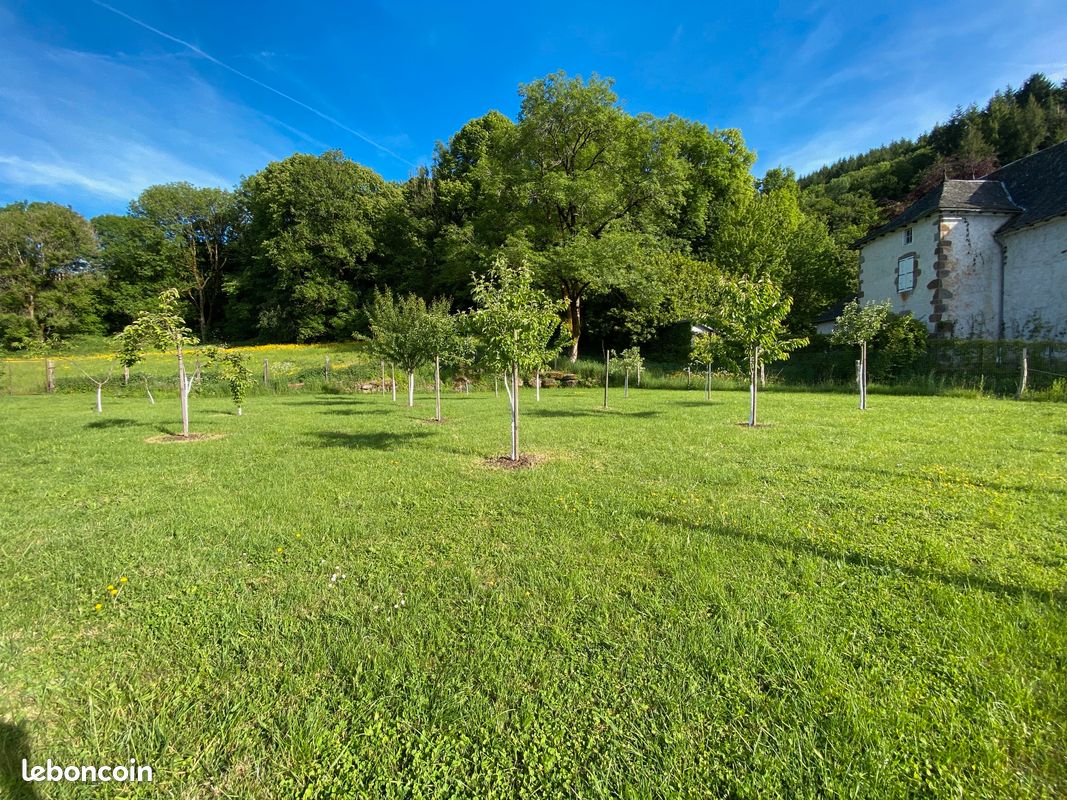 GITE LA BASTIDE EN AUVERGNE 4* avec piscine (image 16)