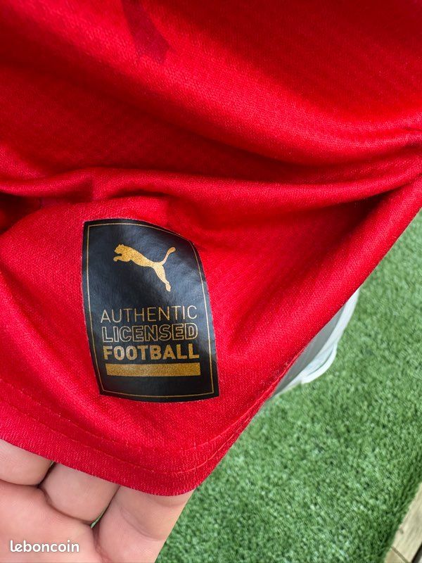 Maillot terrier Stade Rennais (image 9)