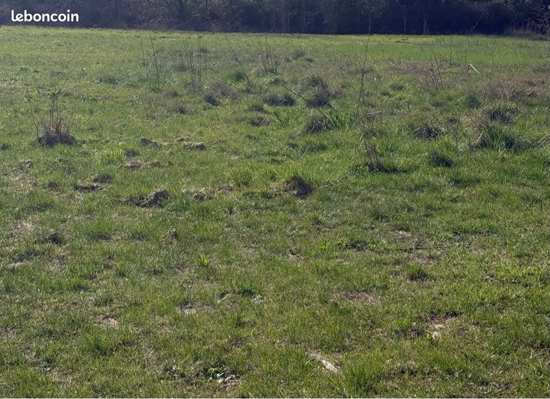 Terrain agricole · à Sainte-Eulalie · 25 000 €