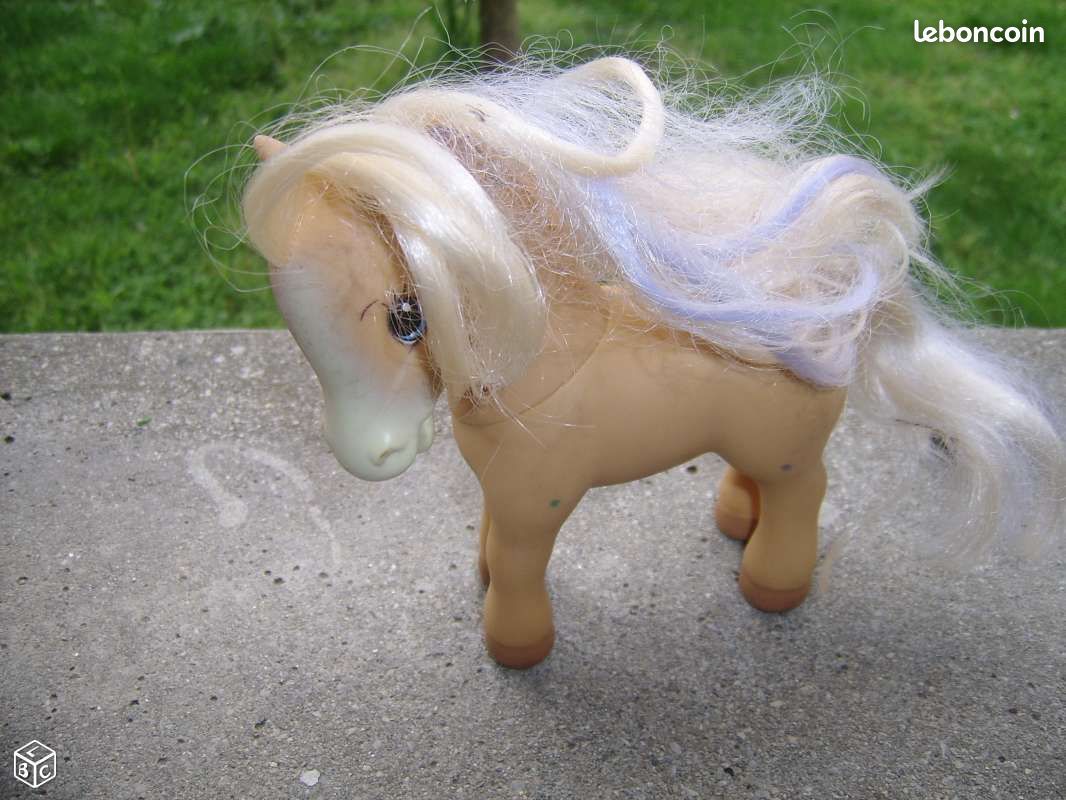 Poney " TCFC" (image 1)