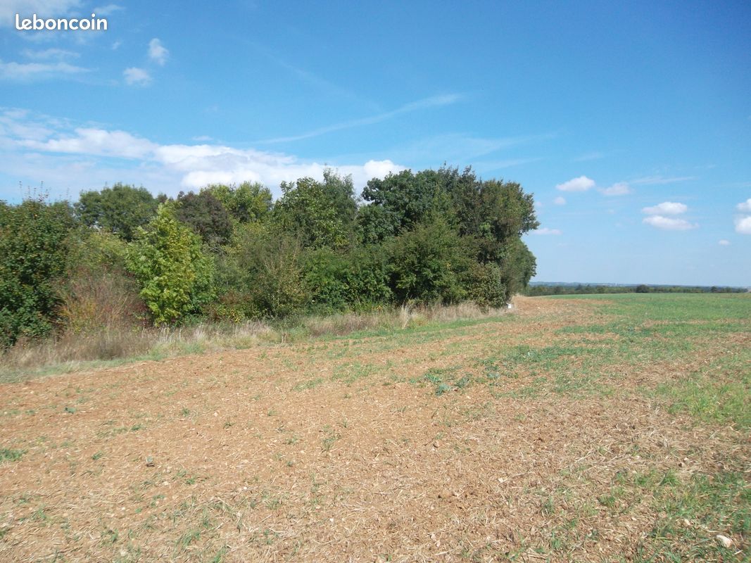 Parcelle de bois taillis 6000m² - Ventes immobilières