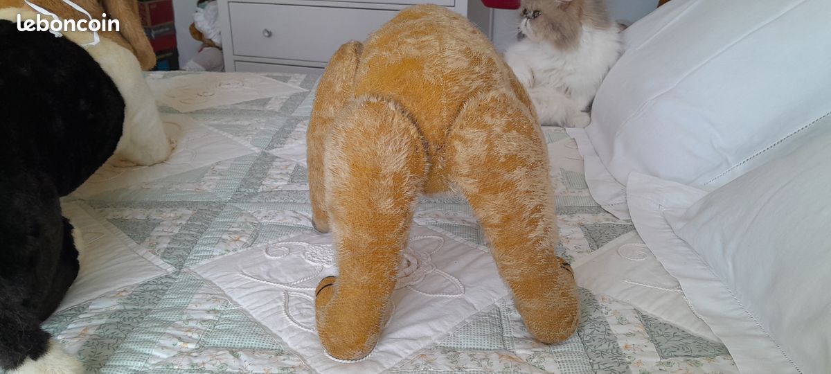 Rare et très bel ours ancien allemand Petz (image 17)
