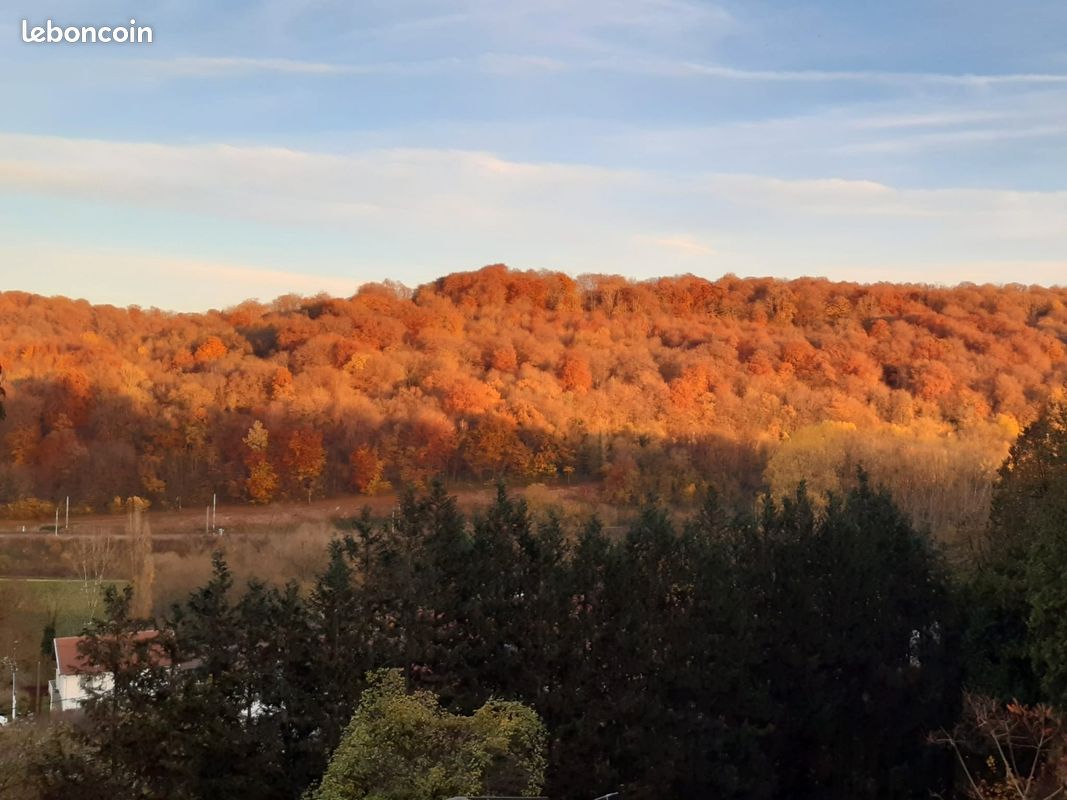 Vends terrain Longuyon sortie direction Longwy · 55 000 €
