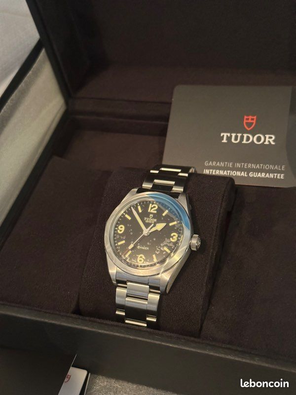 Tudor ranger (image 4)