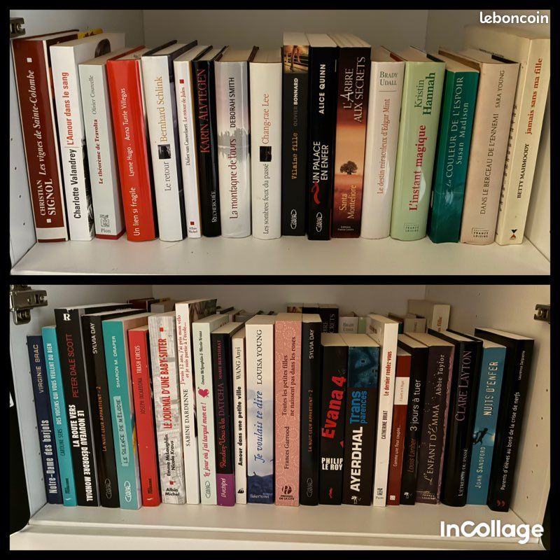 Livres romans divers 1,50 euro l’un (image 1)