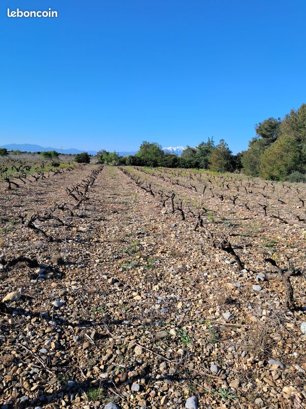 Terrain agricole (image 1)