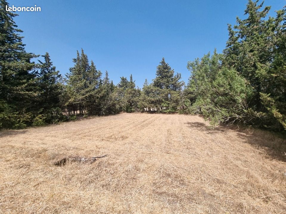 Terrain 710 m² · à Grillon · 99 900 €