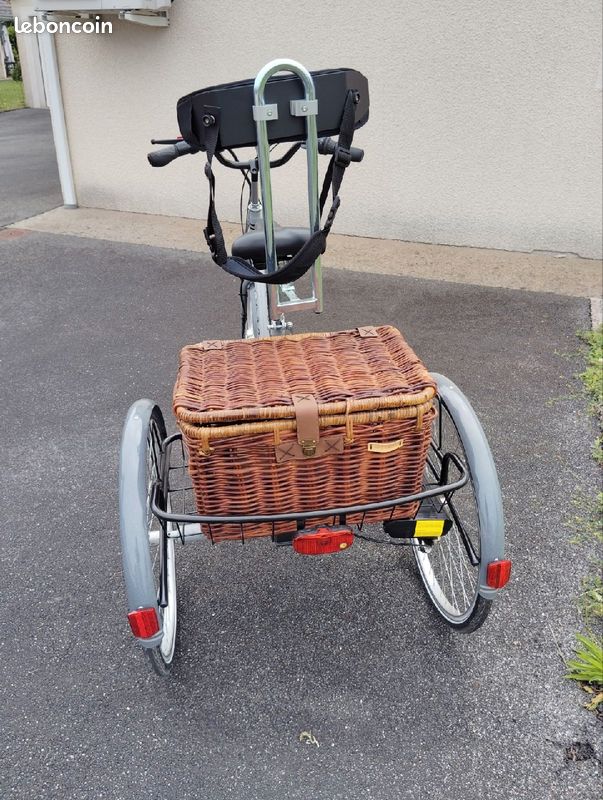 Tricycle avec assistance électrique (image 4)