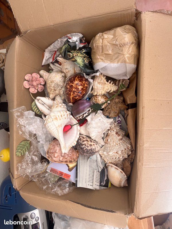 Lot d’objet diverd (image 1)