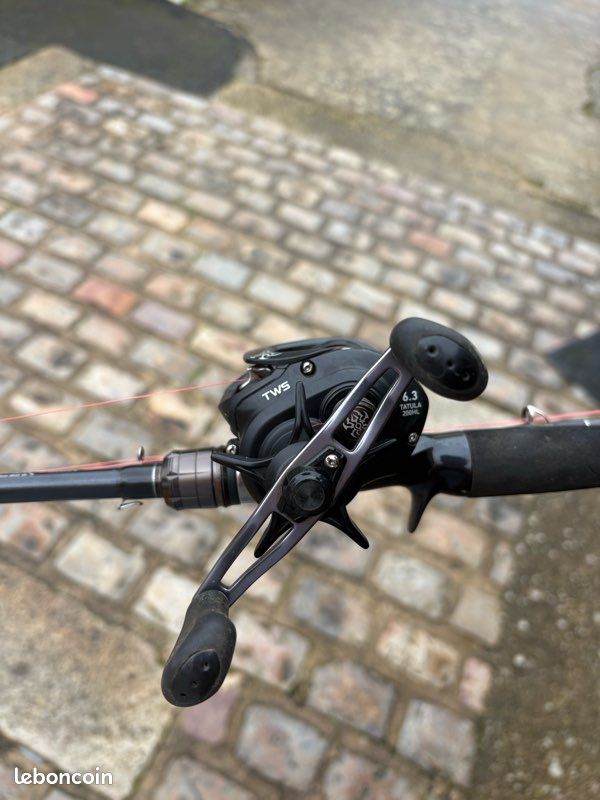 Canne casting daiwa (image 3)