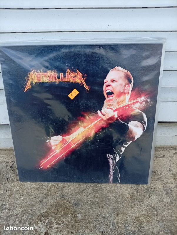 Metallica - Master Of Sao Paulo Part 1 & 2 - 2 Vinyles Picture Disc (image 4)