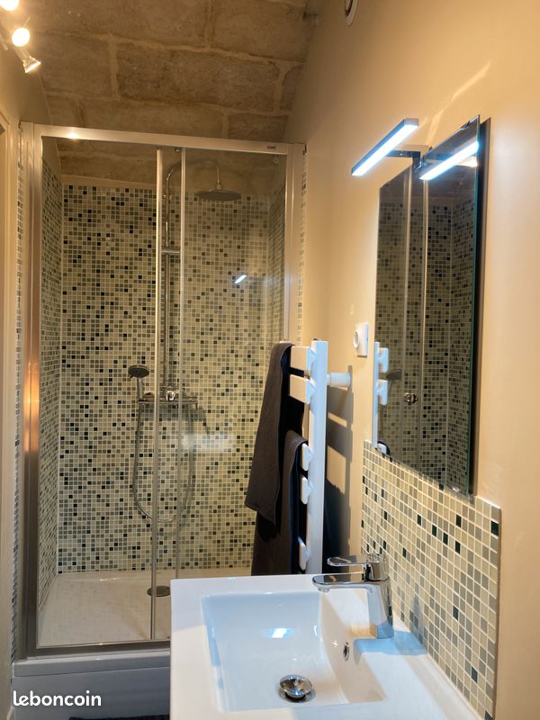 T2 meublé - Saint-Paul (image 10)