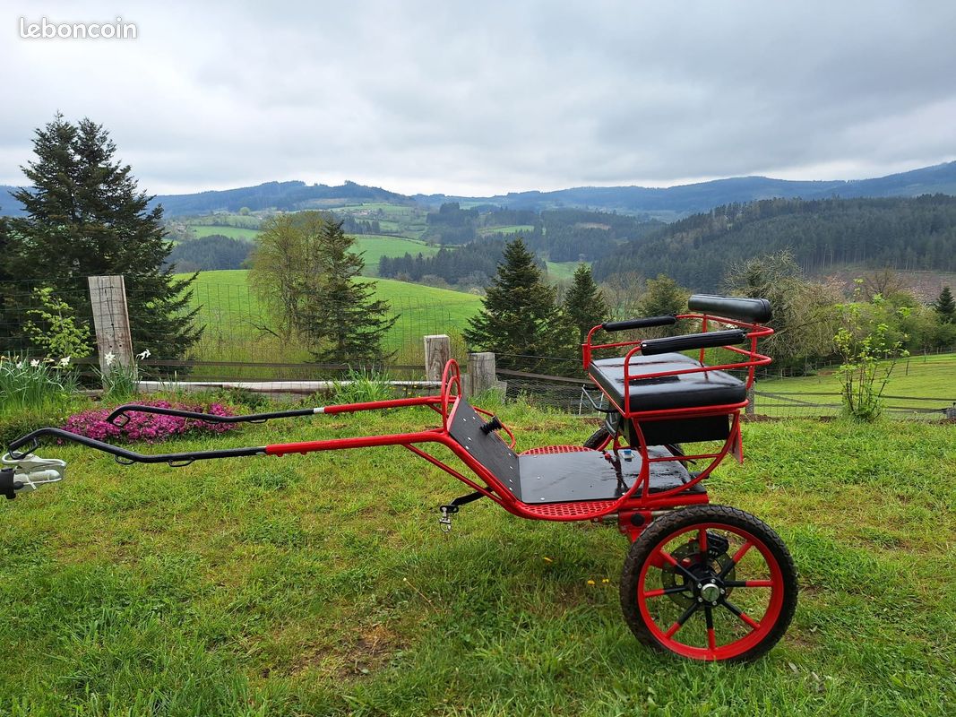 Fouet De Conduite Pour Calèche Cheval/poney - 1,2 M - Fabriqué Au UK - Neuf