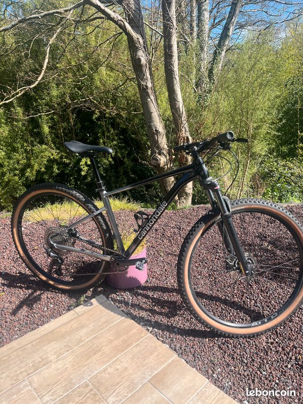 VTT Hardtail - Cannondale Trail SL4 - 2024 (image 1)