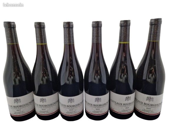 6 bouteilles bourgogne 2016 coteaux bourguignon Benoit Bailly (image 2)