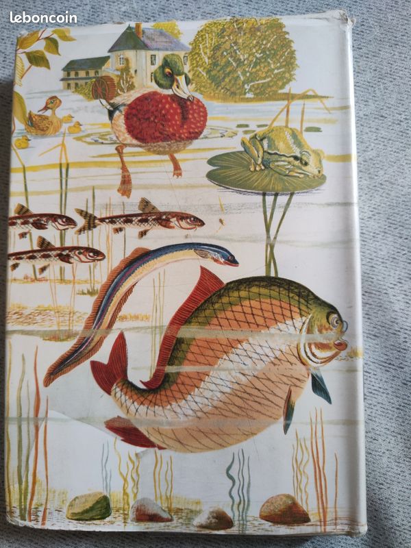 Le poisson d'or (image 9)