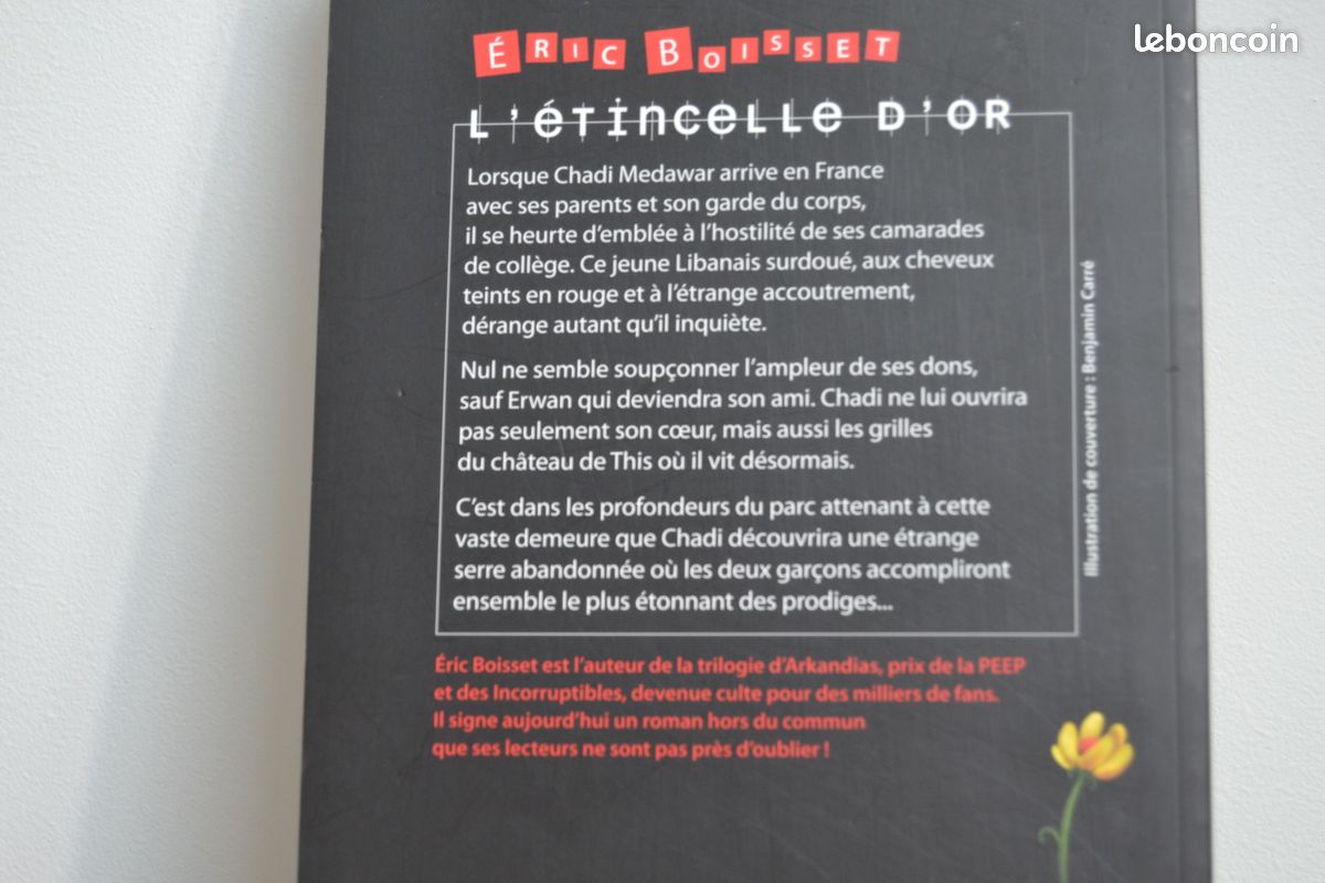 Livre L'étincelle d'or (image 3)
