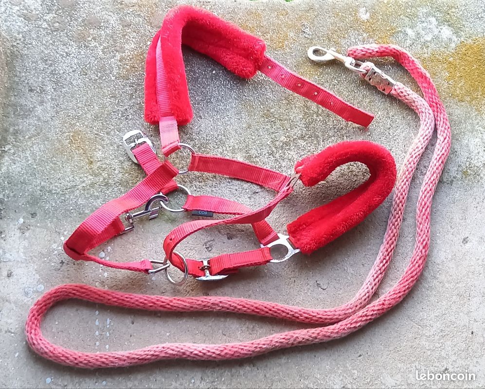 Support de tête de Couleur Rouge de Corde de Cheval de