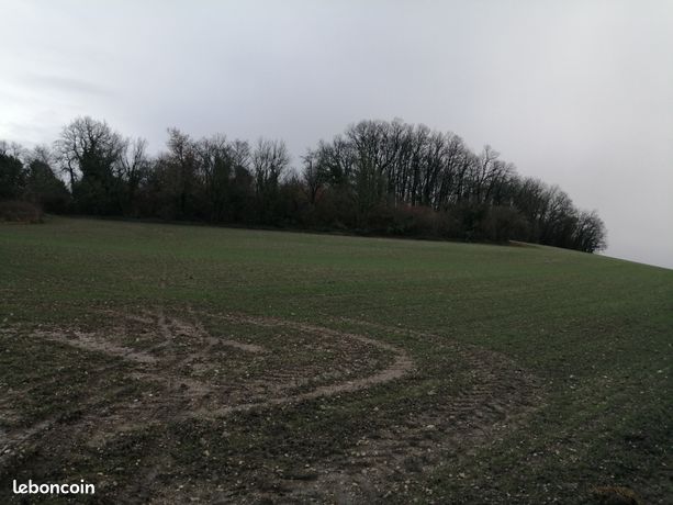 Terrain 6610 m² Saint-Séverin