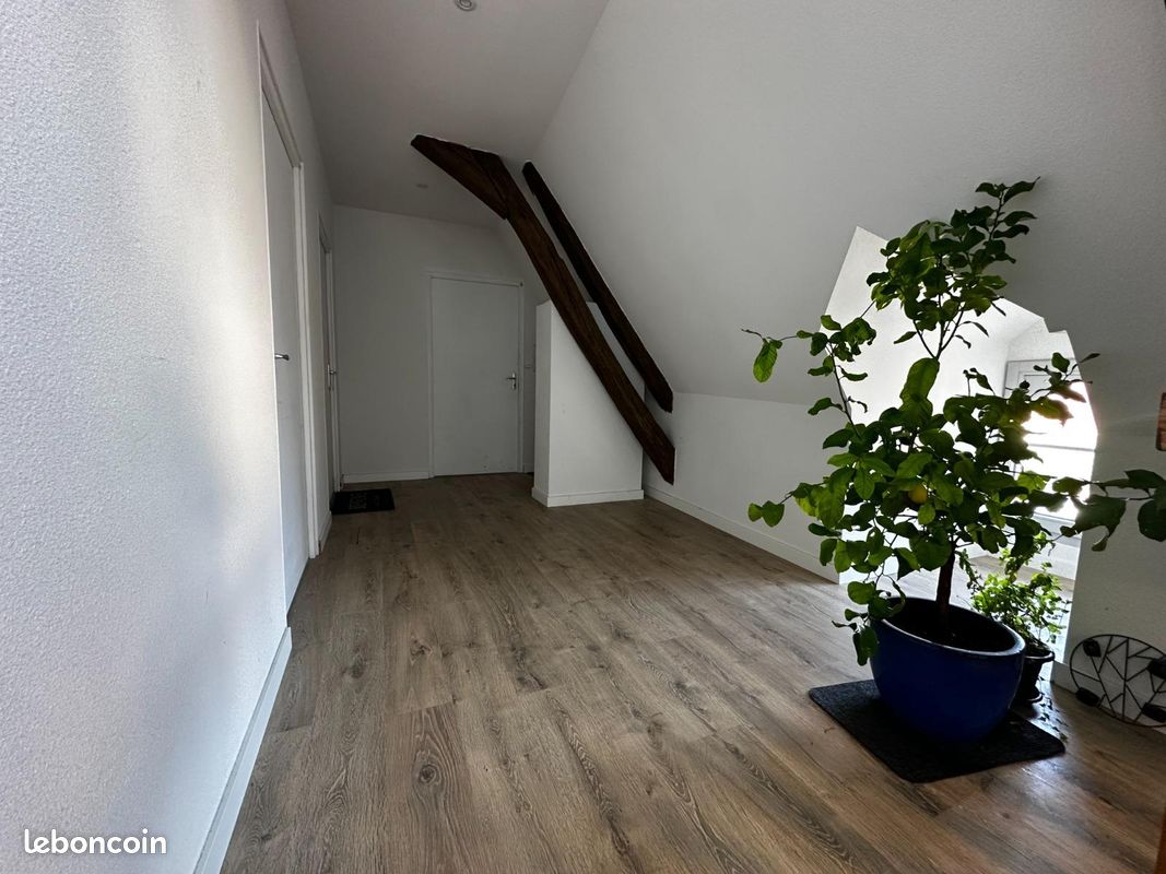 Appartement 3 pièces 41 m² (image 3)