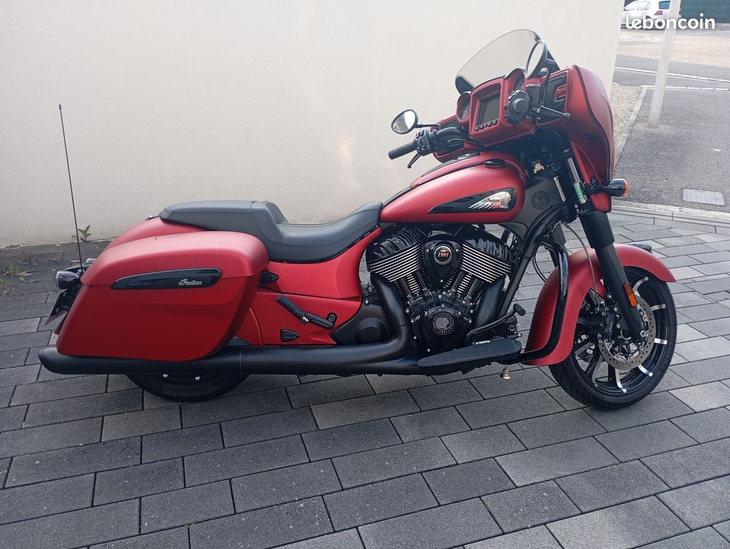 Indian Chieftain dark horse (image 1)
