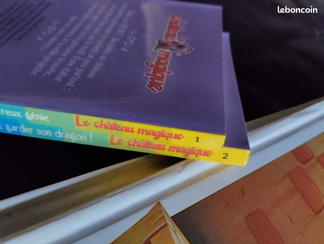 2 Livres le château magique Bayard poche (image 3)