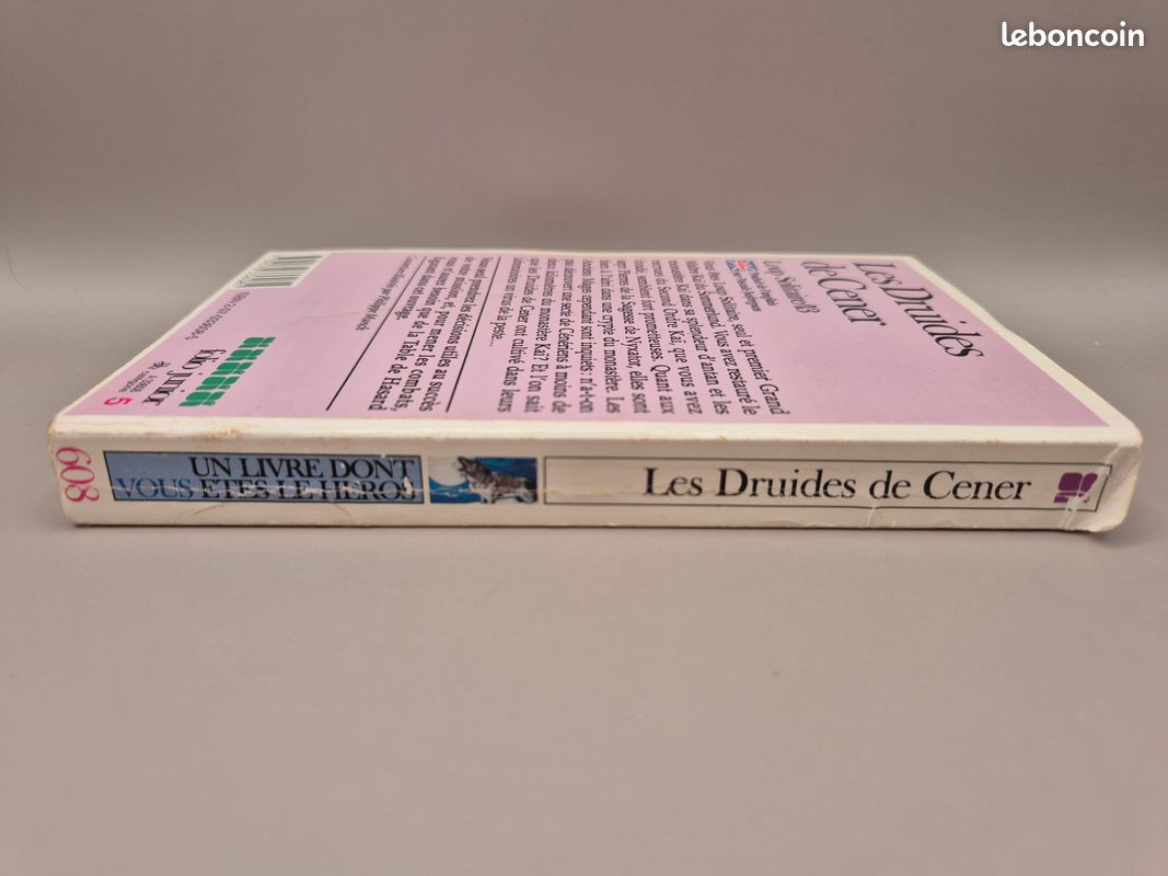 Un livre dont vous êtes le héros (image 3)