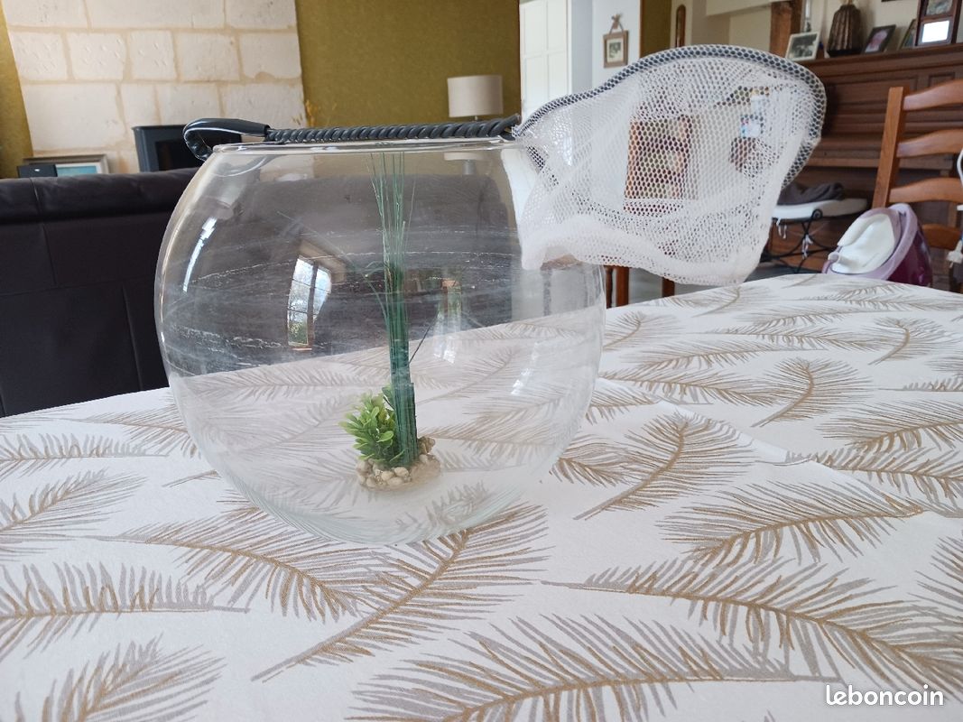 Aquarium et son epuisette (image 3)