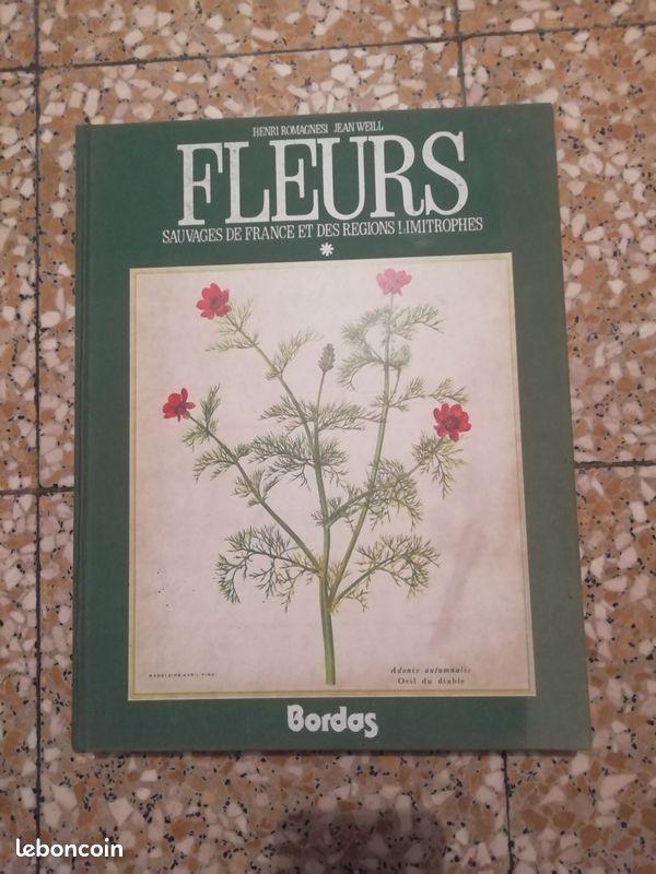 Livres Fleurs Sauvages de France et des Régions Limitrophes (image 2)