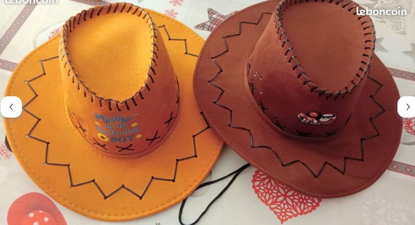 Chapeau style stetson (image 4)
