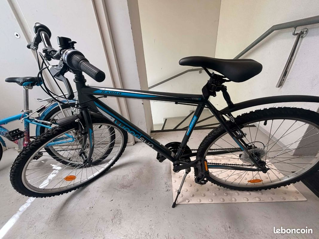 Vélo woodsun RAIDLO (image 1)